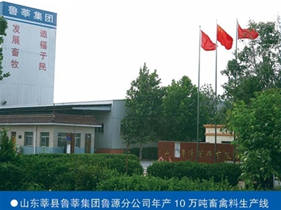 山东鲁莘集团年产10万吨畜禽料生产线