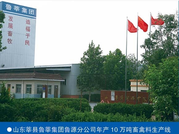 山东鲁莘集团年产10万吨畜禽料生产线