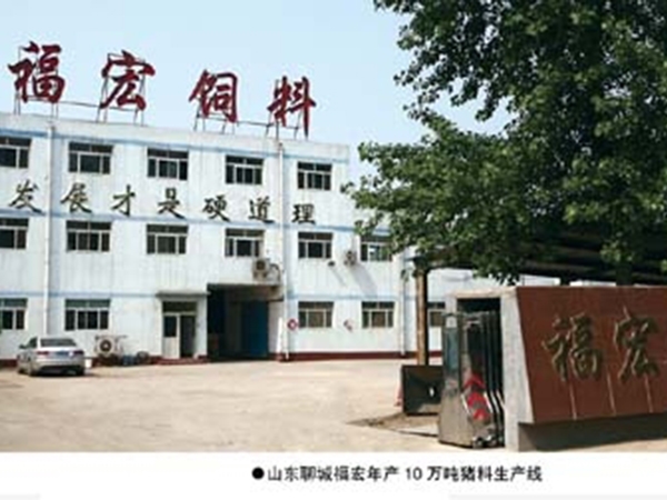 山东聊城福宏年产10万吨猪料生产线