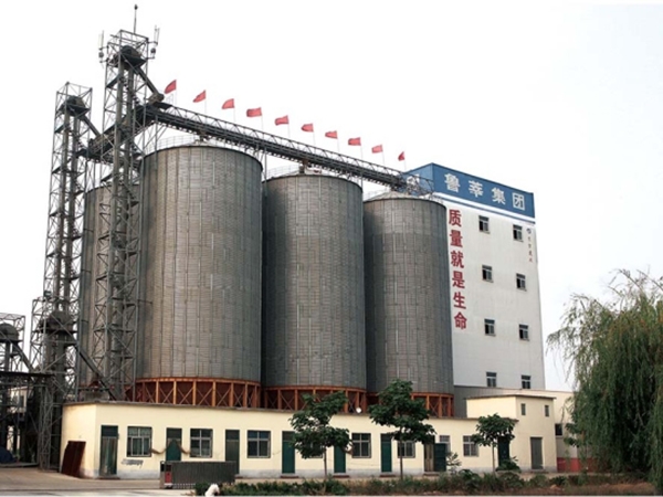 山东鲁莘集团年产20万吨畜禽料生产线